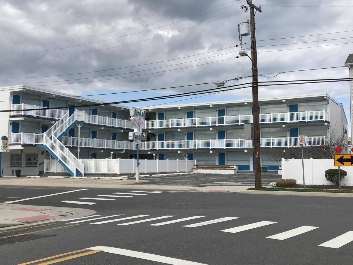 Bird Of Paradise Motel North Wildwood Exterior foto